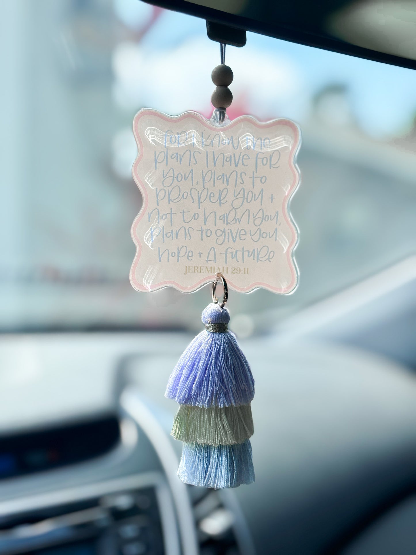 JEREMIAH 29:11 CARMINDER