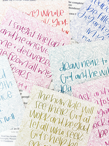 SEEK SCRIPTURE CARD PACK